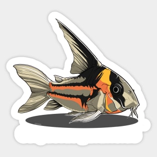 Corydoras parallelus Sticker